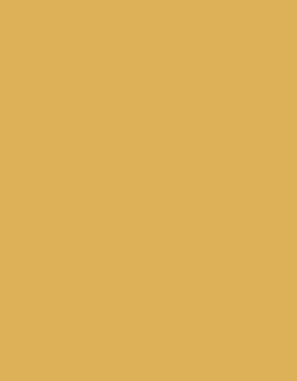 Bay Road Merino Womens Polo Neck - Buttercup