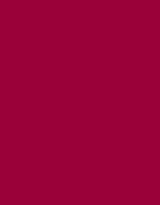 Bay Road Merino Womens Polo Neck - Cerise