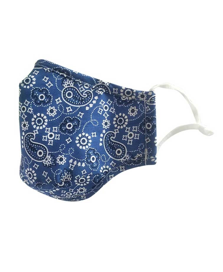 Fashion Mask + 2 Filters - Paisley