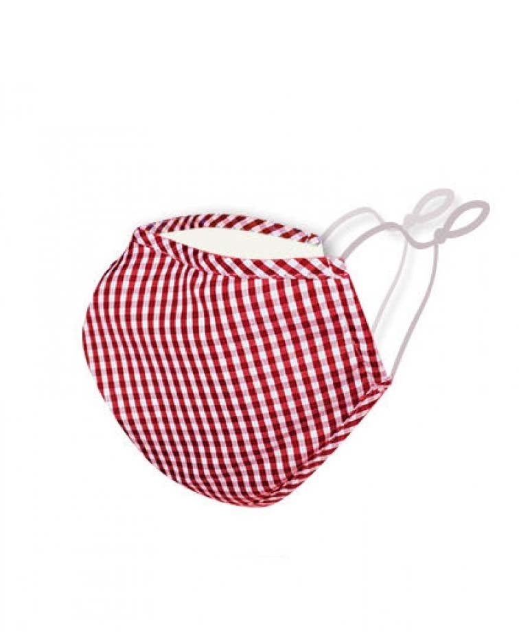Fashion Mask + 2 Filters - Gingham Red