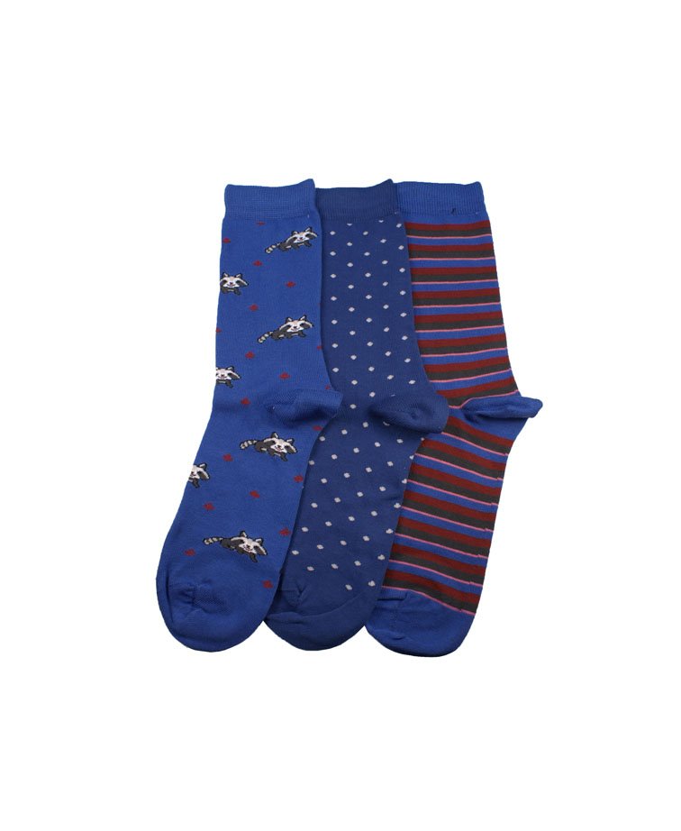 Columbine Cotton Raccoons 3pk Crew - Royal
