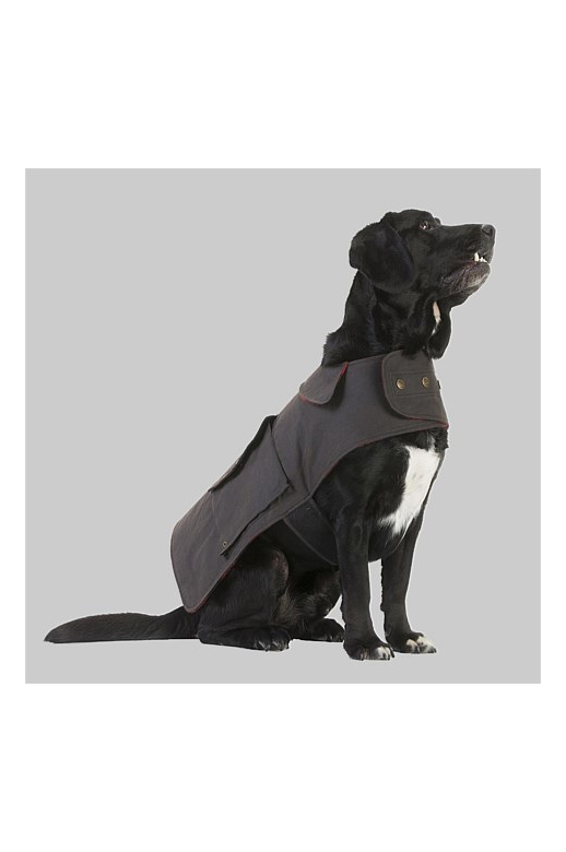 Swanndri Hunter Dog Coat