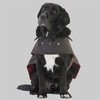 Swanndri Hunter Oilskin Dog Coat