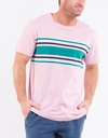 Chester St Tee S/S Stripe