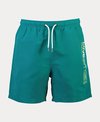 Line 7 Marina Swim Short 