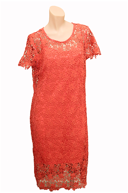 Oh Three Dress S/S Lace - Women's Dresses | Yarntons | Free NZ shipping ...