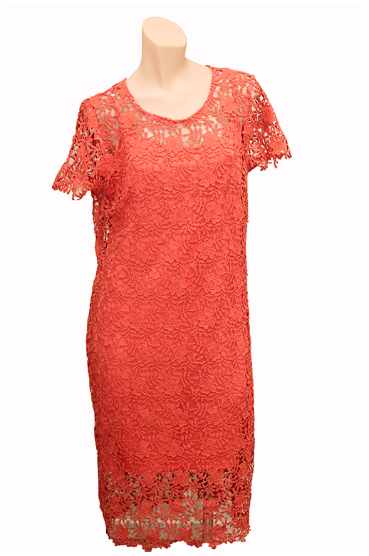 Oh Three Dress S/S Lace - Women's Dresses | Yarntons | Free NZ shipping ...